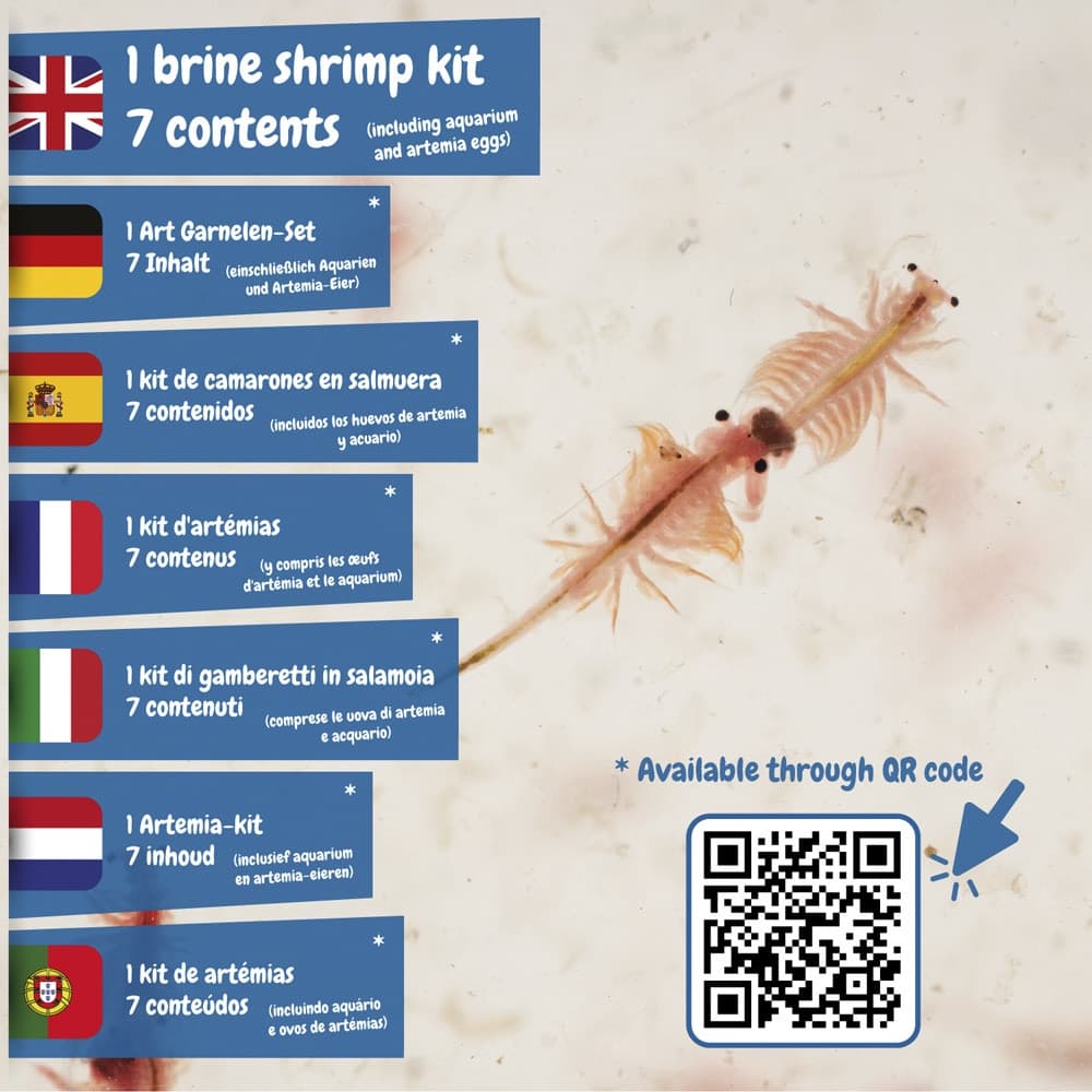 Jurassic Pets Kit I. Gioco educativo per bambini - vista 6