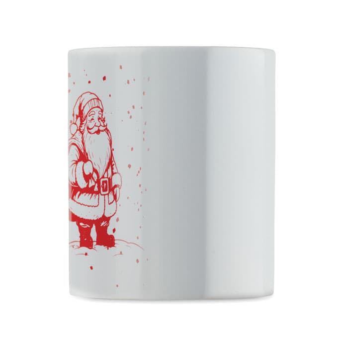 FESTIMUG - vista 6