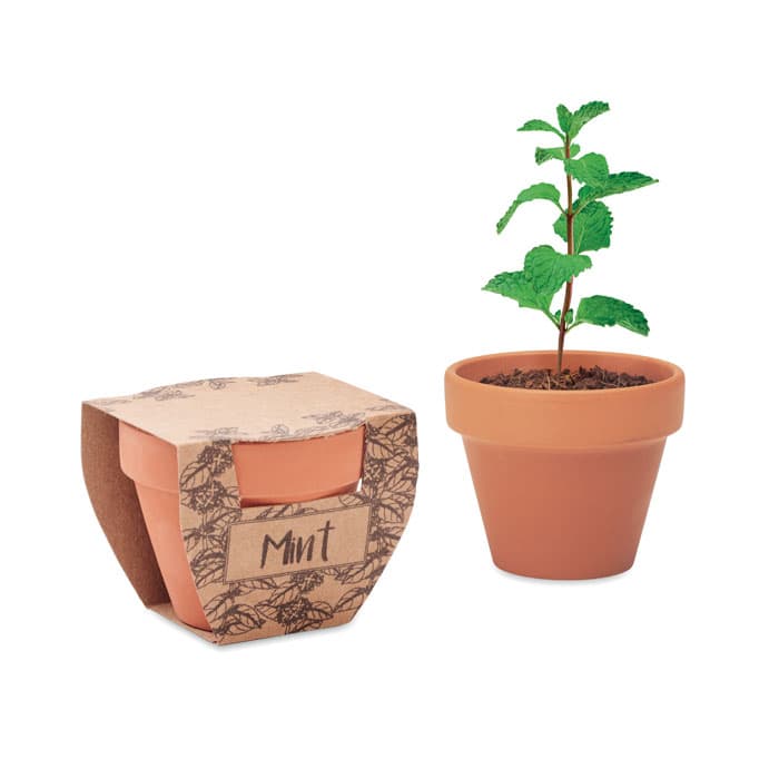 MINT POT - vista 1