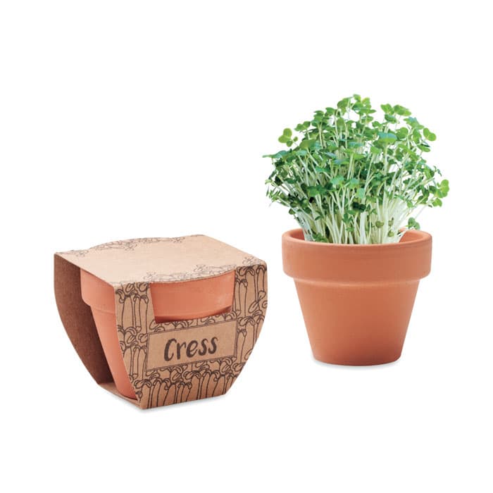 CRESS POT - vista 1