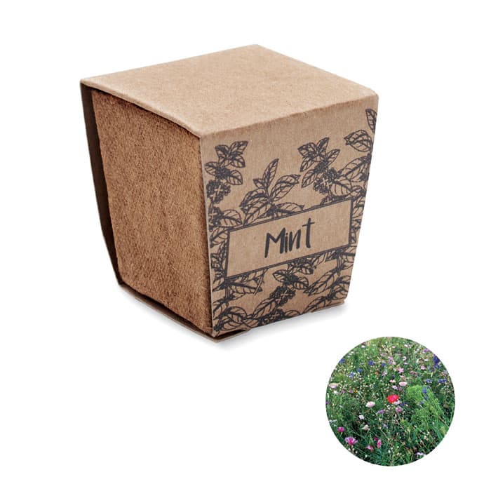 MINT KIT - vista 1