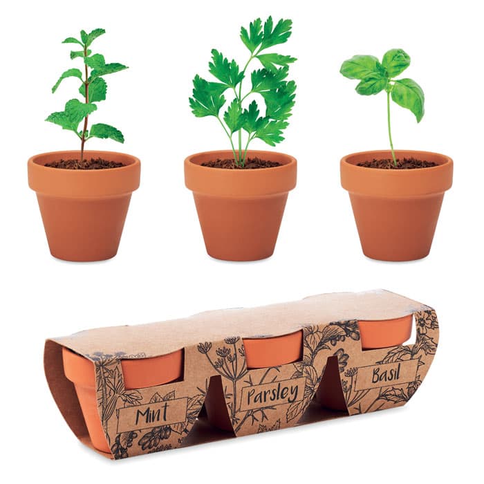 FLOWERPOT - vista 1