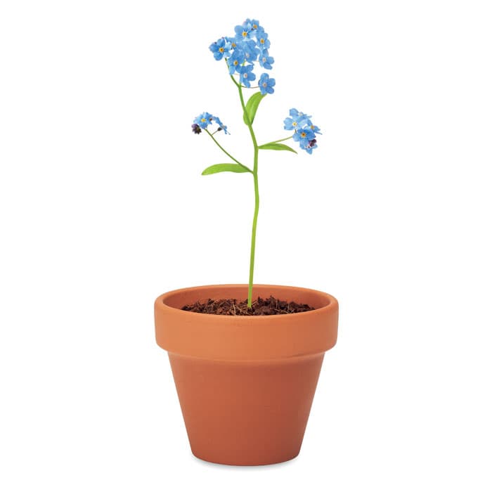 FORGET ME NOT - vista 5