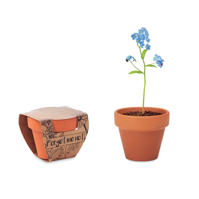 FORGET ME NOT - vista 1