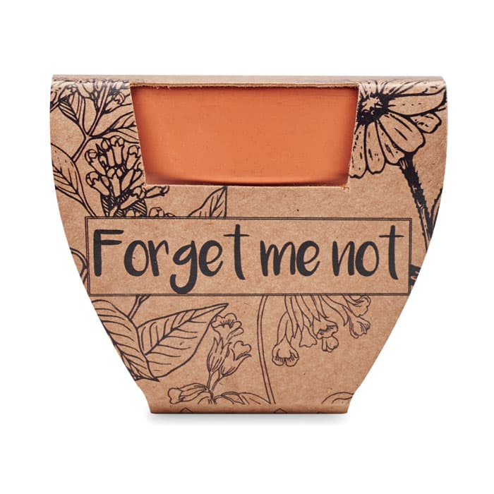 FORGET ME NOT - vista 2