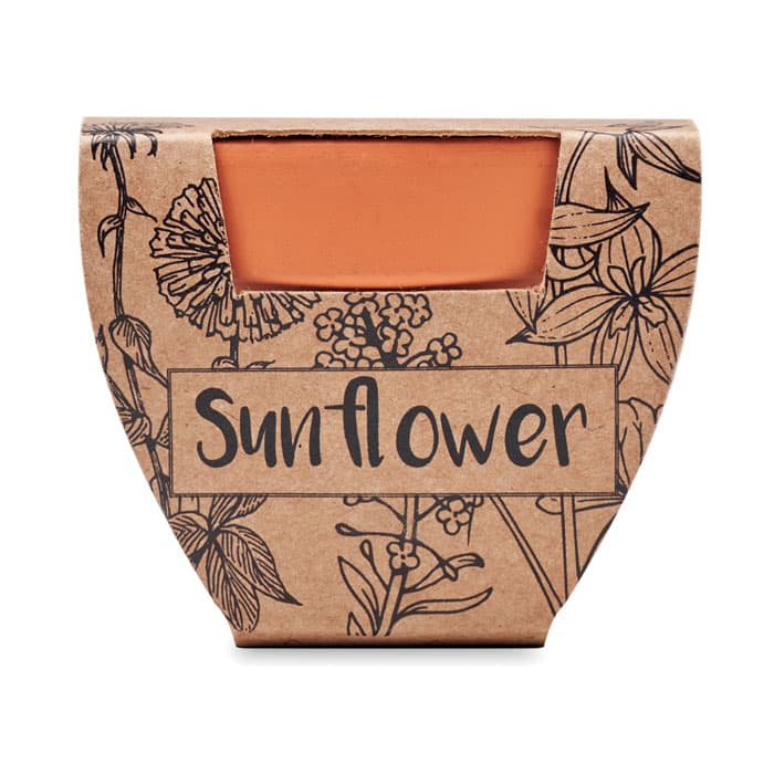 SUNFLOWER - vista 2