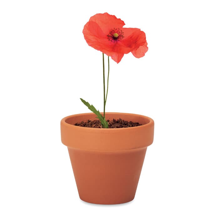 RED POPPY - vista 4