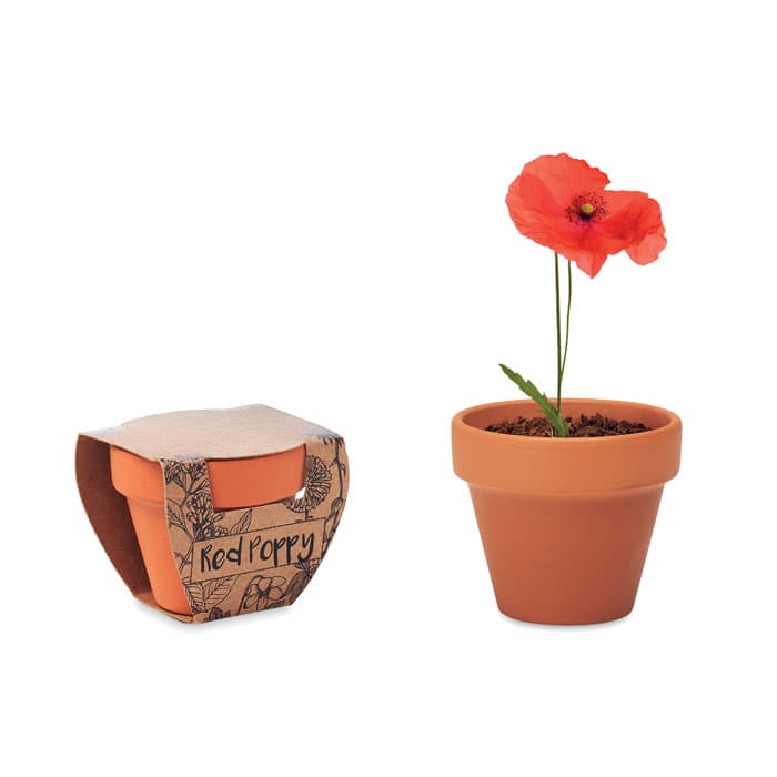 RED POPPY - vista 1