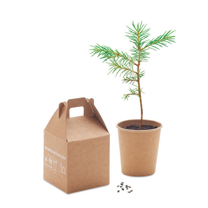 GROWTREE™ - vista 3
