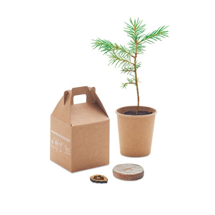 GROWTREE™ - vista 4