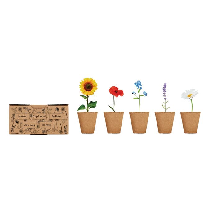 FLOWERS - vista 4