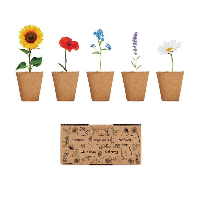 FLOWERS - vista 1