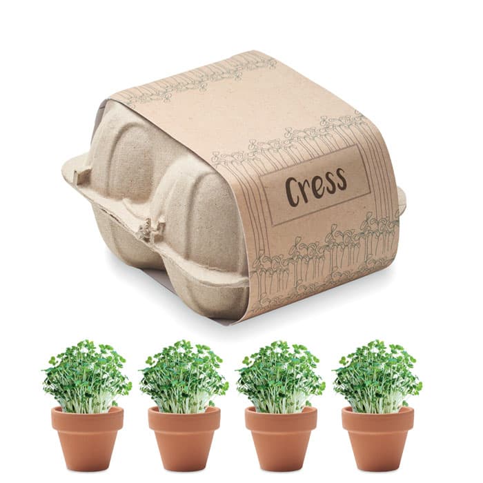 CRESS - vista 1