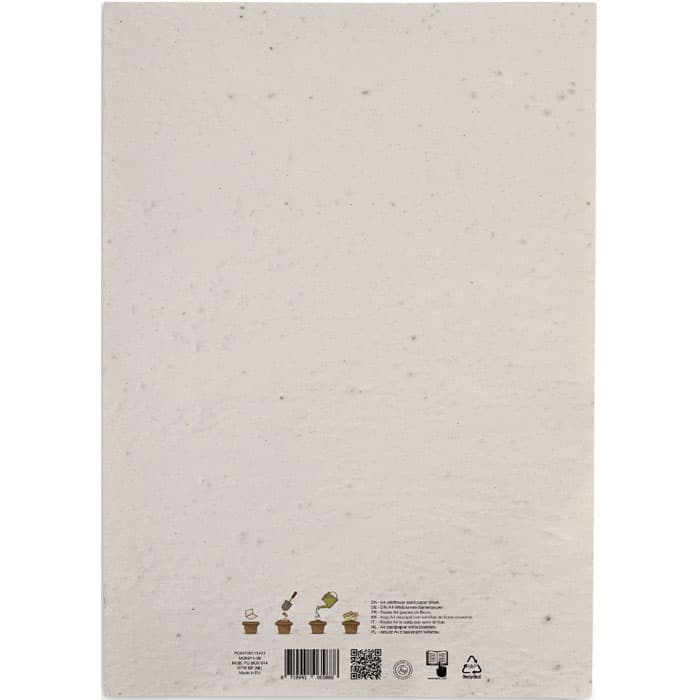 ASIDI - vista 2