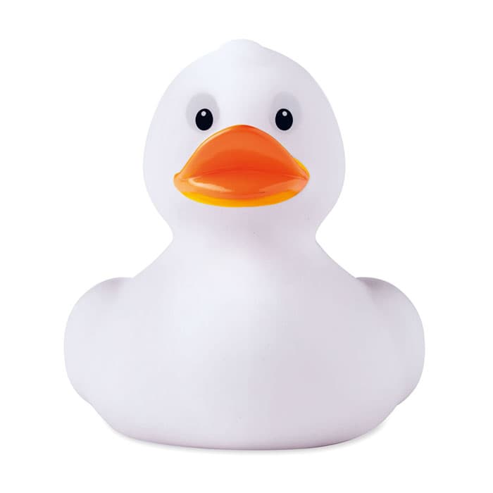 DUCK - vista 1