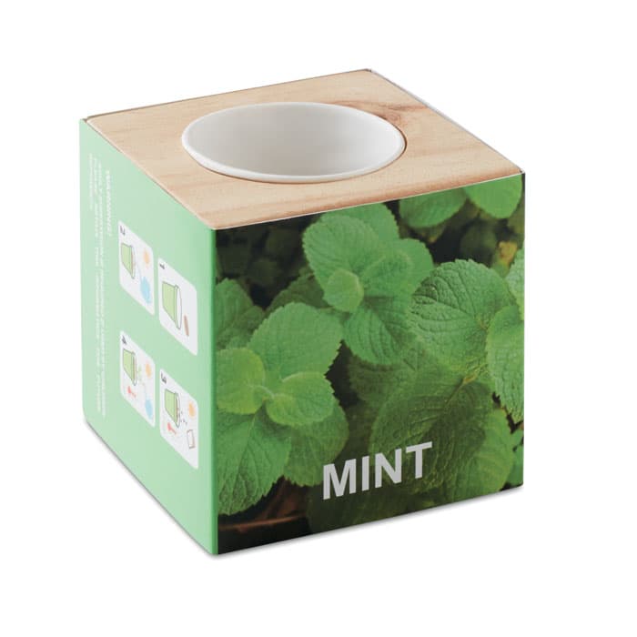 MENTA - vista 1
