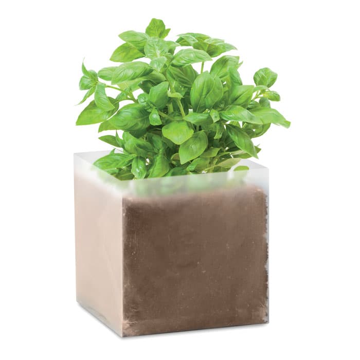 BASIL - vista 1