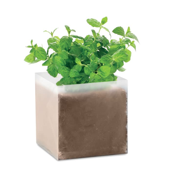 MINT - vista 1