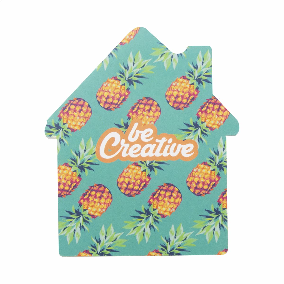 CreaStick House - vista 5