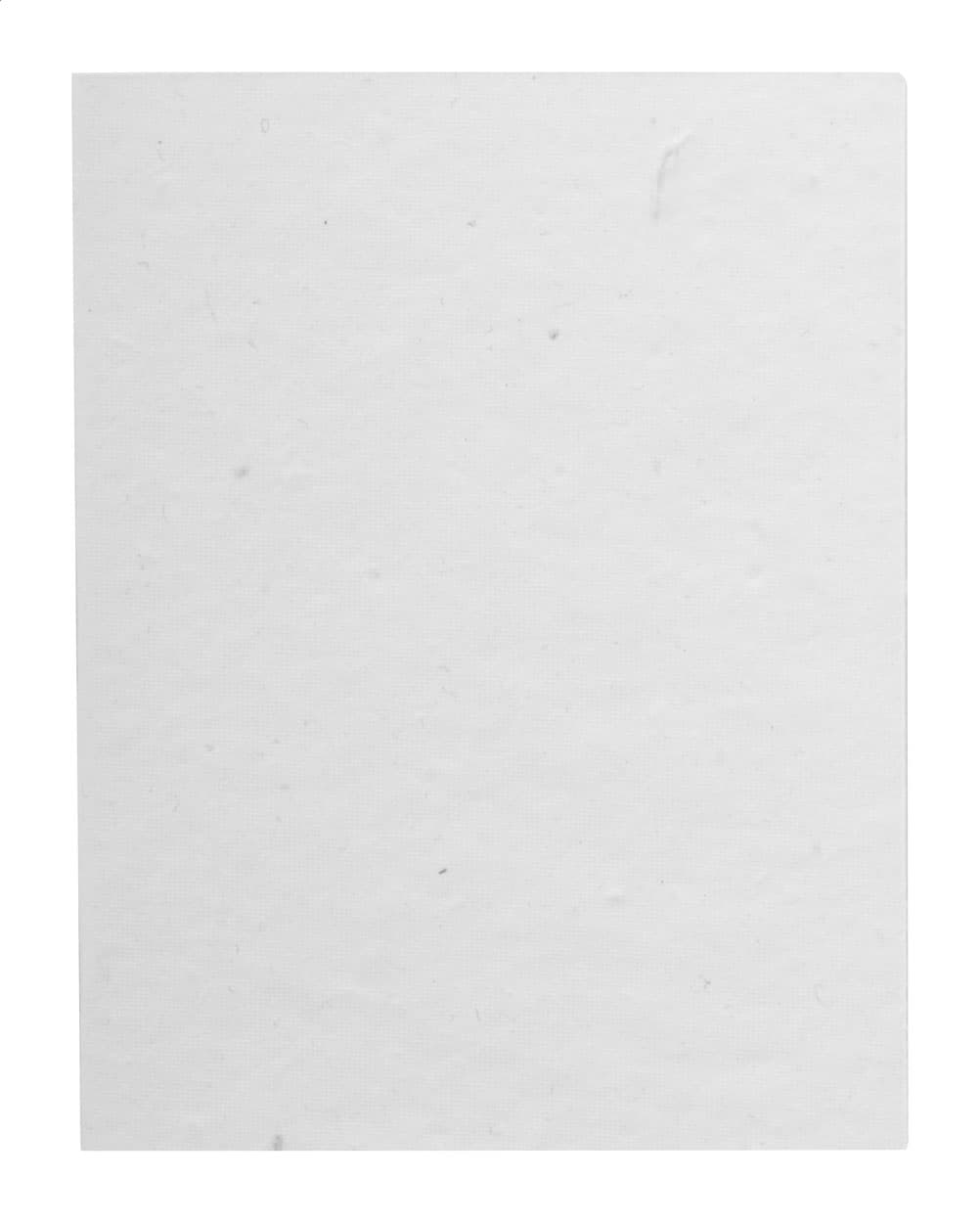 CreaStick Seed Note L - vista 3