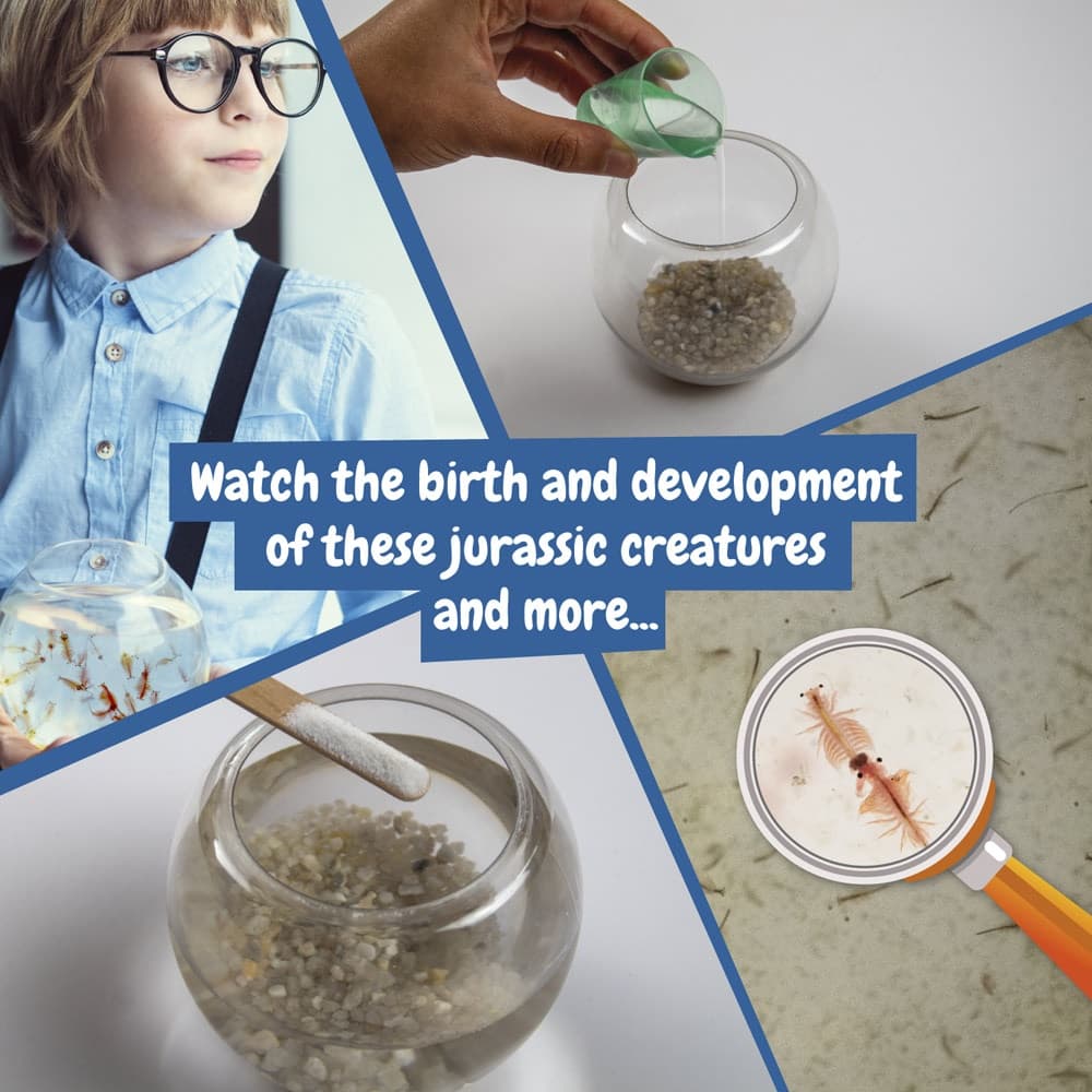 Jurassic Pets Kit I. Gioco educativo per bambini