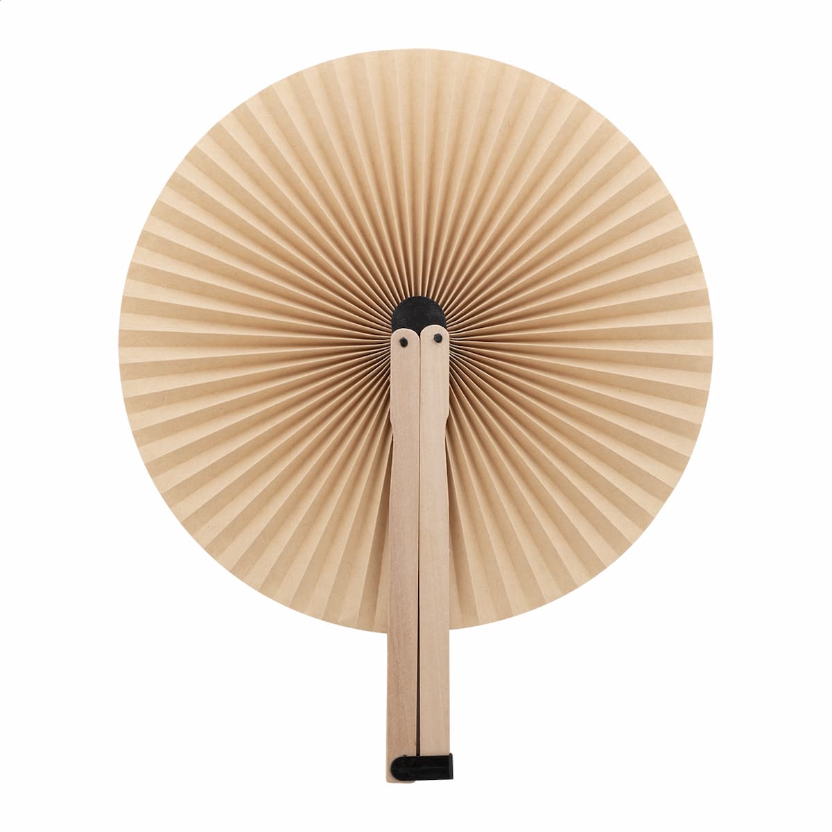 Lolli - vista 1