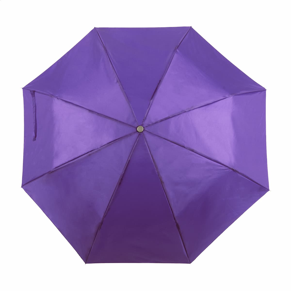 viola