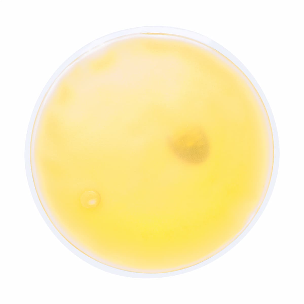 giallo