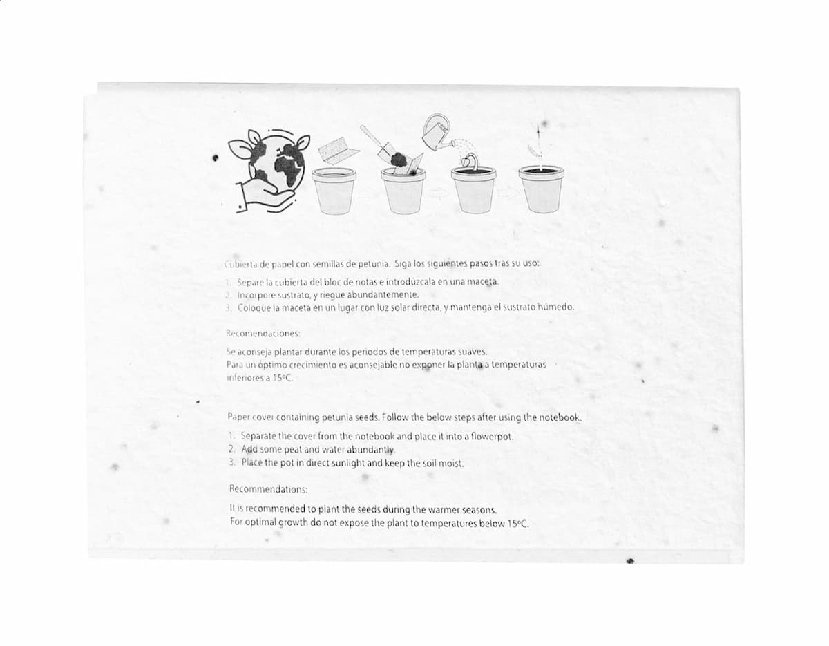 Semilla - vista 5