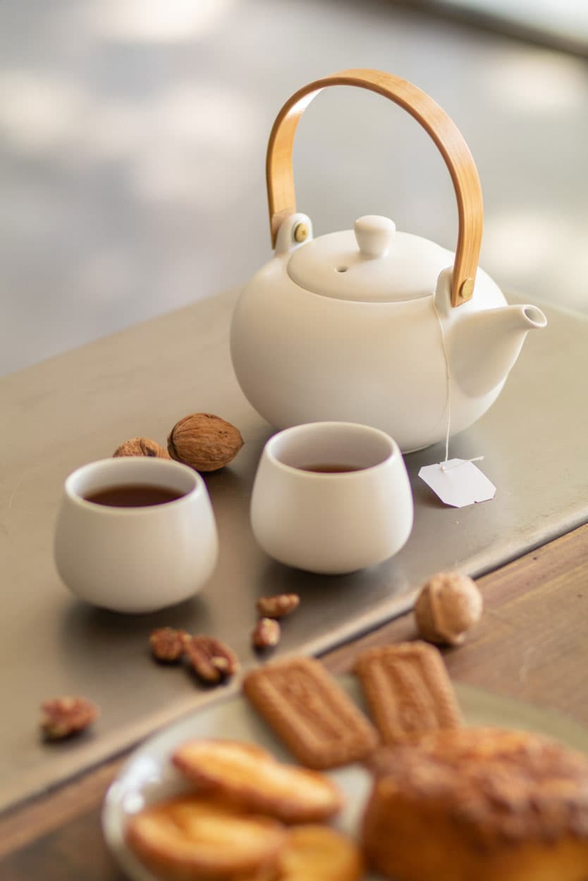 Sencha - vista 5