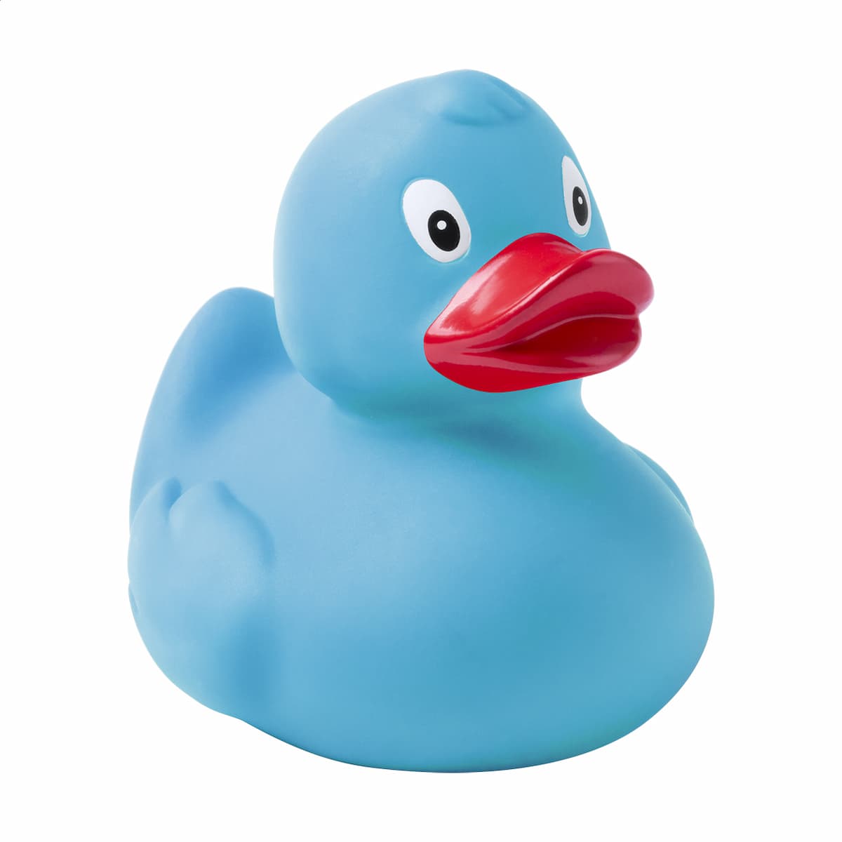 Squack - vista 1