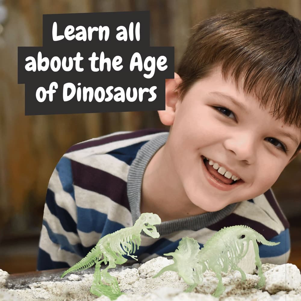 2 in 1 Fossil Excavation Kit I. Gioco educativo per bambini - vista 6