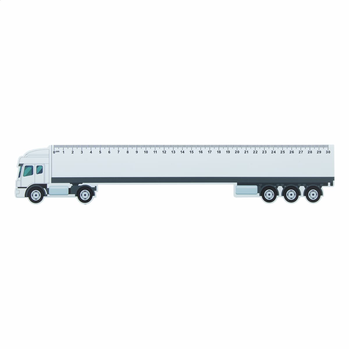 Trucker 30 - vista 2